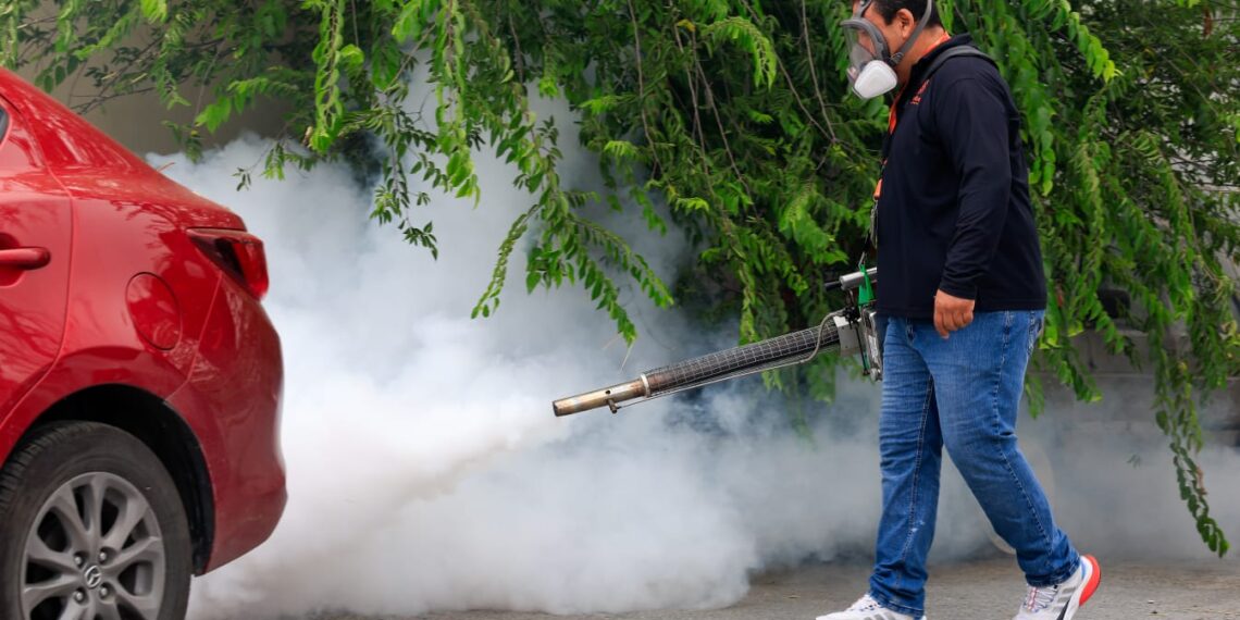 Guadalupe refuerza campaña de fumigación contra el dengue
