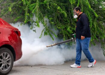 Guadalupe refuerza campaña de fumigación contra el dengue