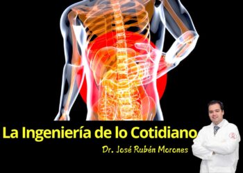 El segundo cerebro: la ingeniería invisible que opera en tu intestino
