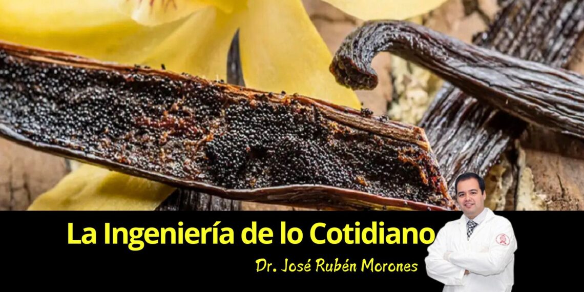 La ingeniería de la vainilla: del bosque tropical a tu postre favorito