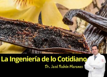 La ingeniería de la vainilla: del bosque tropical a tu postre favorito