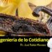 La ingeniería de la vainilla: del bosque tropical a tu postre favorito