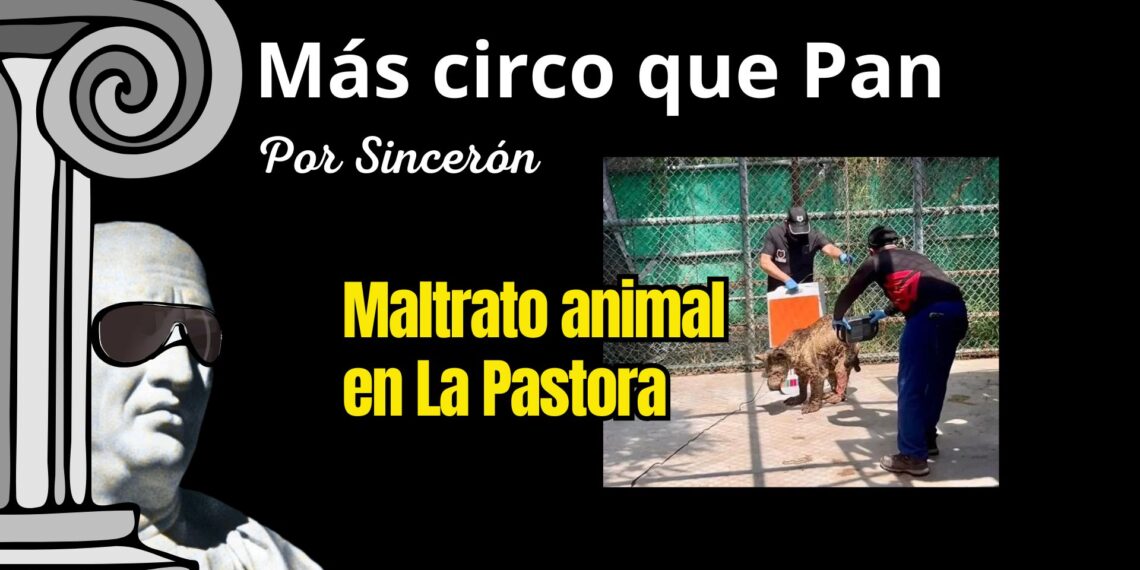 Osa Mina: Maltrato animal por donde le vean