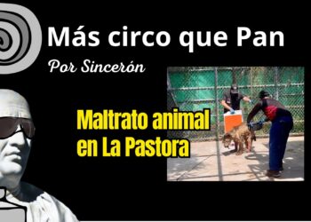 Osa Mina: Maltrato animal por donde le vean