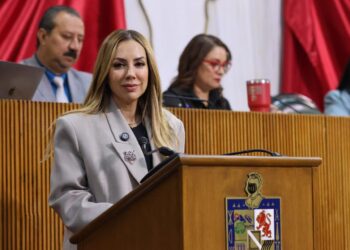 Perla Villarreal pide acciones urgentes contra la violencia sexual infantil