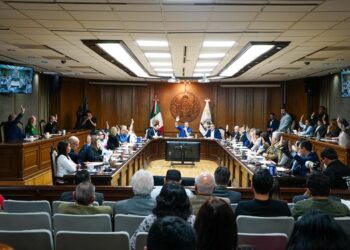 Cabildo aprueba gratuidad en parquímetros para autos con placas de discapacidad