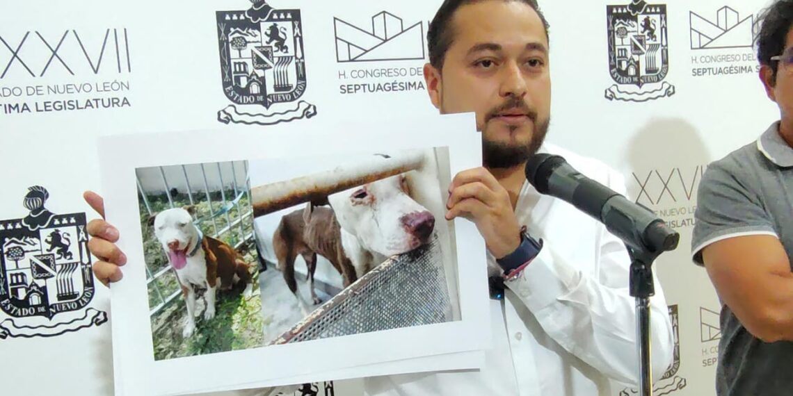 Miguel Lechuga exige cárcel para Jesús Nava por maltrato animal