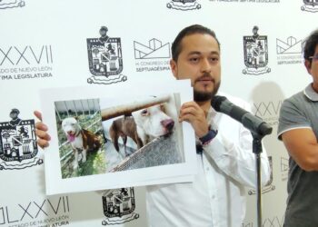 Miguel Lechuga exige cárcel para Jesús Nava por maltrato animal