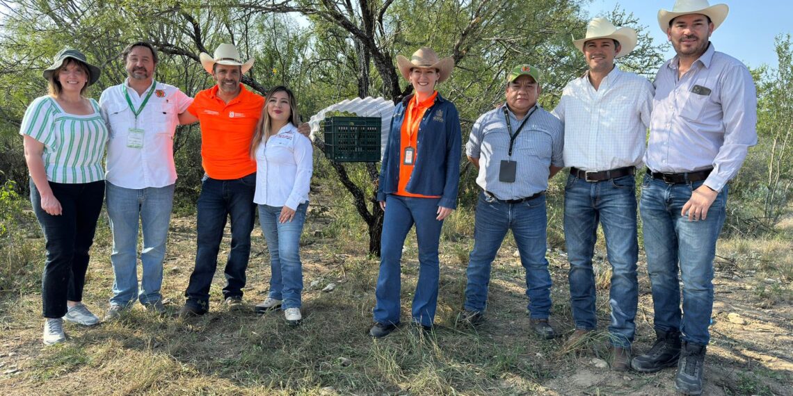 Liberan moscas estériles para combatir gusano barrenador en NL