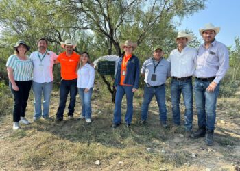 Liberan moscas estériles para combatir gusano barrenador en NL