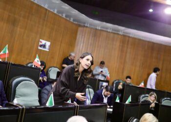 Lorena de la Garza exige frenar hostigamiento contra activistas del transporte