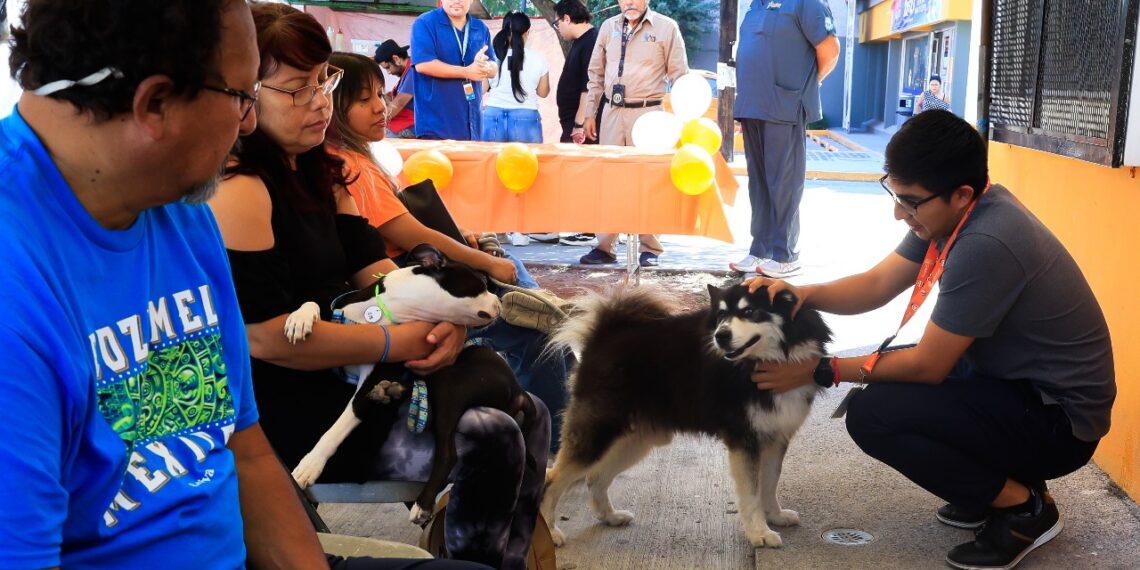 Guadalupe alcanza 17 mil servicios veterinarios en su primer año de gobierno
