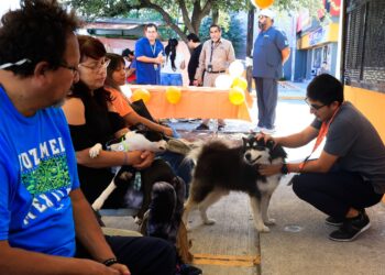 Guadalupe alcanza 17 mil servicios veterinarios en su primer año de gobierno