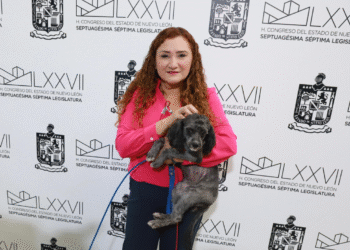 Myrna Grimaldo impulsa Portal Estatal de Protección y Bienestar Animal