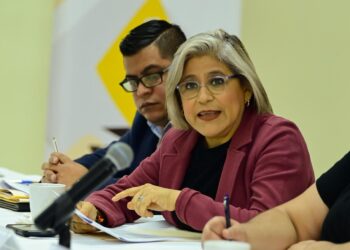 Sandra Pámanes: “El principio de paridad de género no debe postergarse”