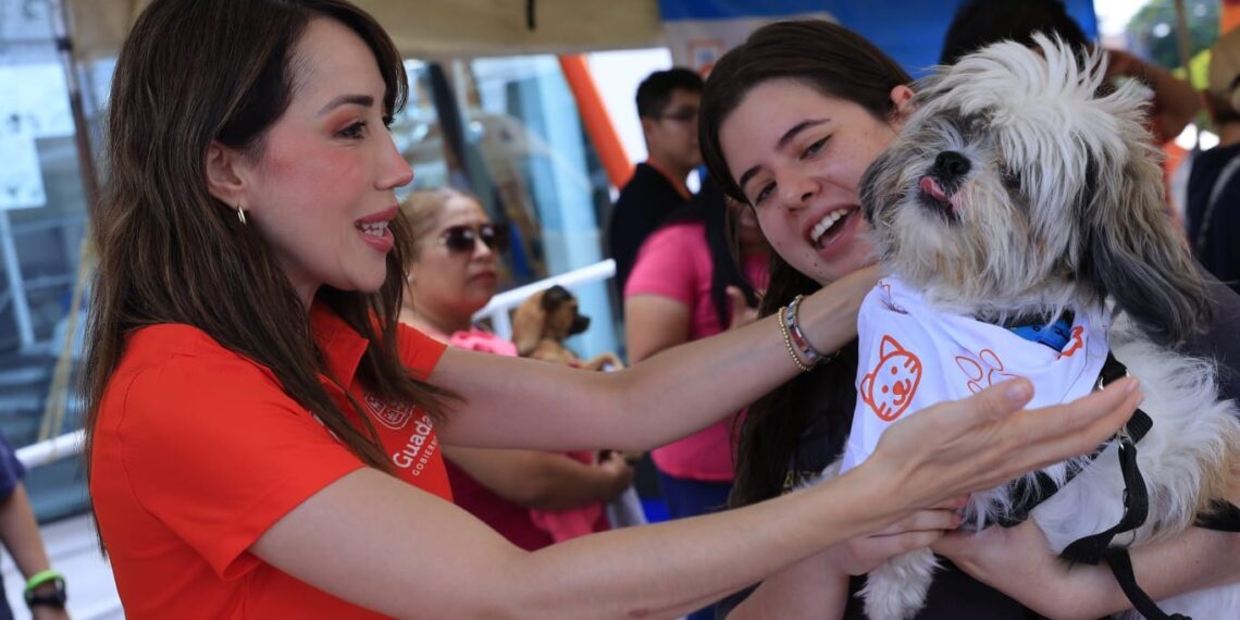 Guadalupe promueve tenencia responsable de mascotas