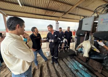 Contienen con éxito brote aislado del Gusano Barrenador en Nuevo León