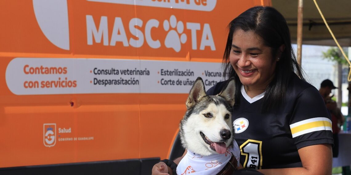 Guadalupe prepara nuevo reglamento para la protección y bienestar de los animales