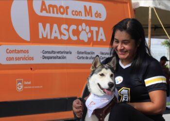 Guadalupe prepara nuevo reglamento para la protección y bienestar de los animales