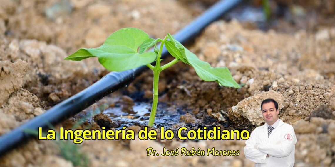 Ingeniería del agua: cada gota cuenta