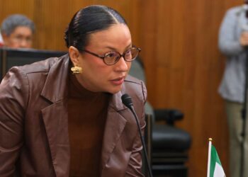 Grecia Benavides cuestiona costo millonario del monorriel en Nuevo León