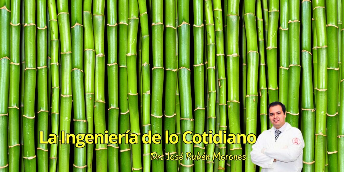 El bambú: acero vegetal con alma de andamio