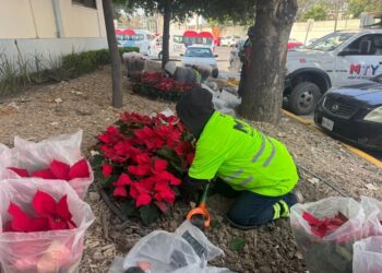 Monterrey da la bienvenida a la temporada con “Regia Navidad Mundialista”
