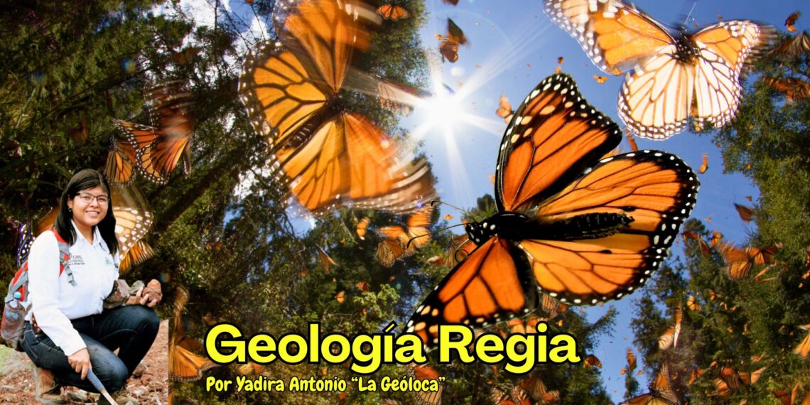 Chipinque: El Festival de la Mariposa Monarca