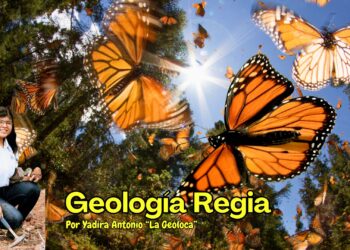 Chipinque: El Festival de la Mariposa Monarca