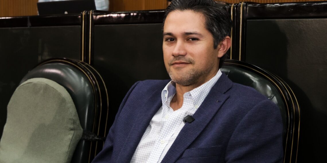 Celebrar sin pirotecnia: un gesto de conciencia y respeto en Año Nuevo