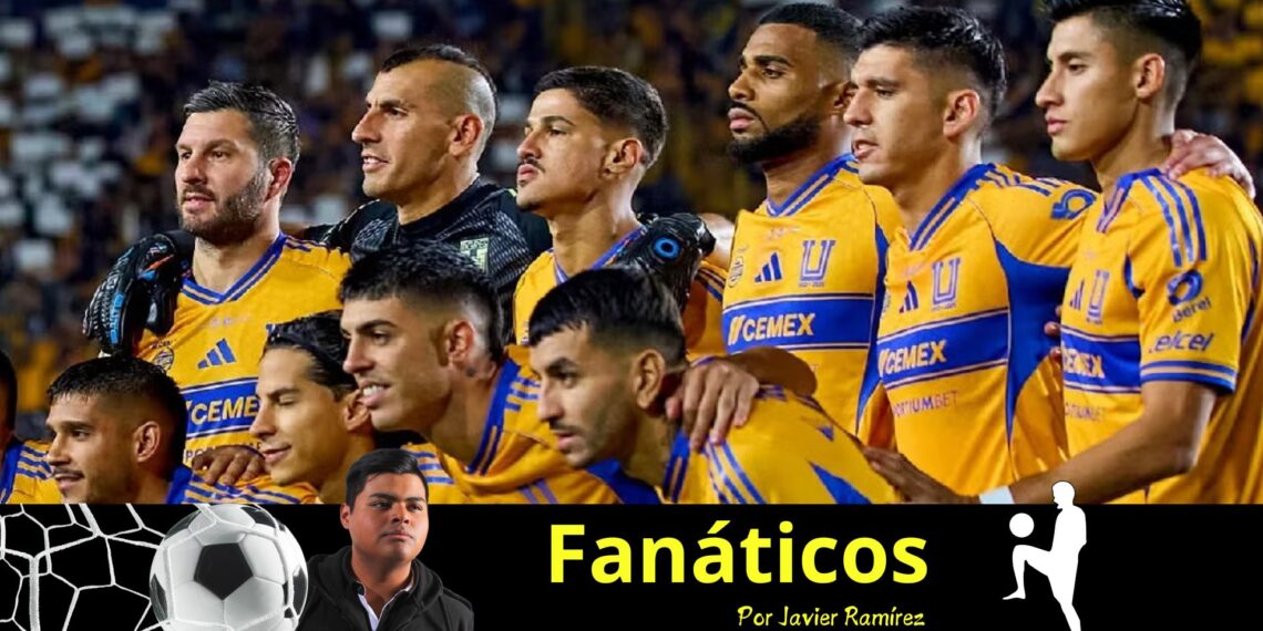 Tigres necesita refuerzos y un poco más que eso