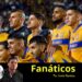 Tigres necesita refuerzos y un poco más que eso