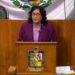 Grecia Benavides propone tipificar la pederastia en Nuevo León