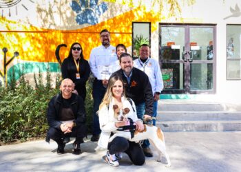 Medio Ambiente concluye resguardo y atención médica de la perrita maratonista