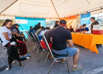 Guadalupe refuerza acciones de bienestar animal con esterilización gratuita