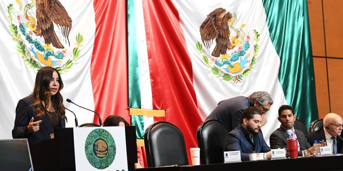 Lilia Olivares exige fiscalización tras tragedia en obra pública