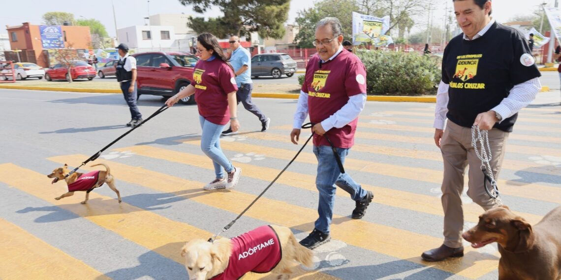 Yesi de Mijes abraza el bienestar animal; encabeza jornada de esterilizaciones
