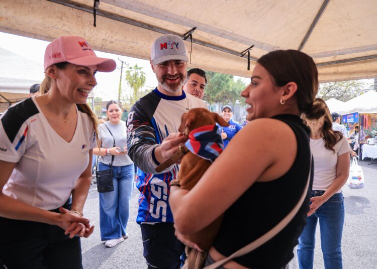 ¡Final feliz en Monterrey! Los 50 perritos del “Chihuatón” ya tienen hogar