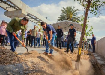 Nuevo León arranca reforestación masiva en Constitución