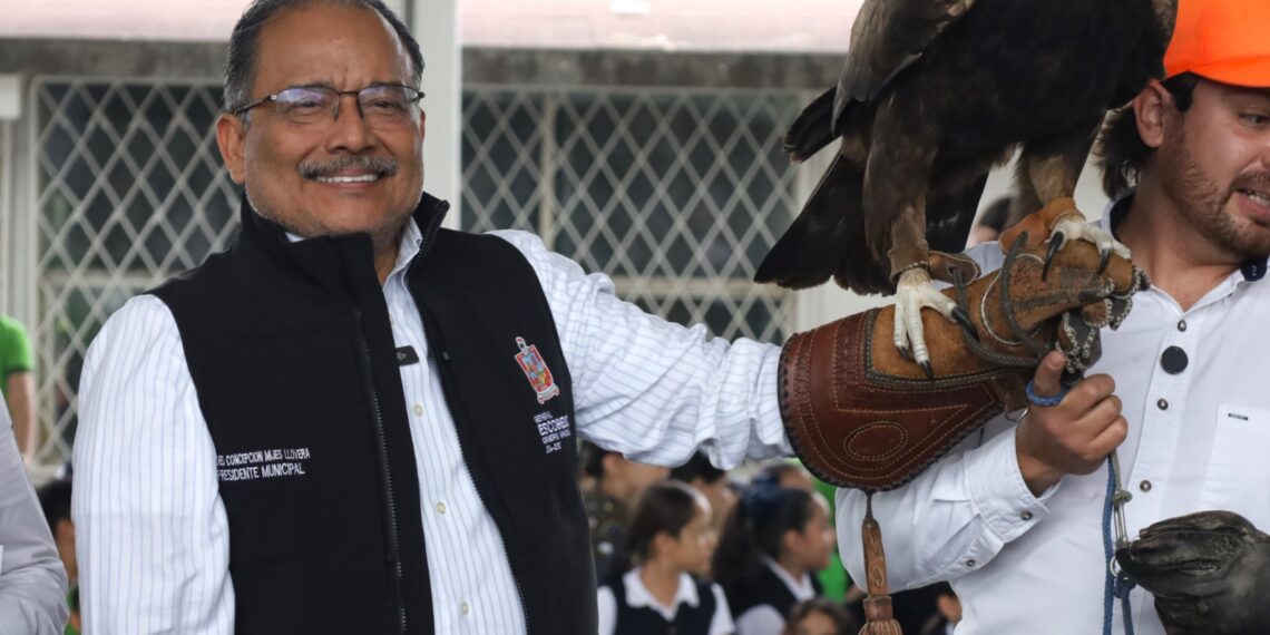 Impulsan conservación de aves nativas con programa educativo