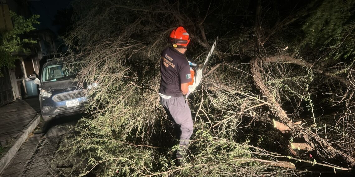 Protección Civil de Guadalupe atiende afectaciones por fuertes vientos