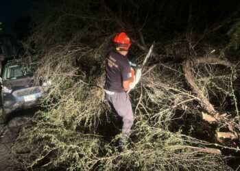 Protección Civil de Guadalupe atiende afectaciones por fuertes vientos