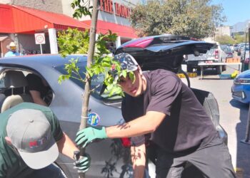 Monterrey impulsa reforestación con nueva edición de “Adopta un Árbol”
