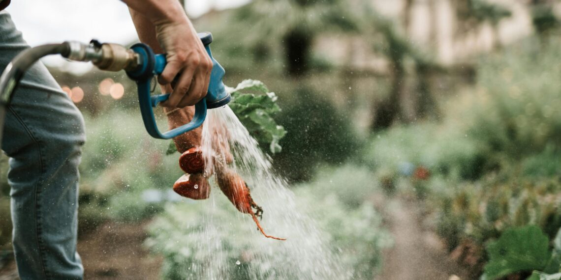 Reducir desperdicio de alimentos ahorraría agua