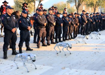 Guadalupe activa operativo por repechaje rumbo al Mundial 2026