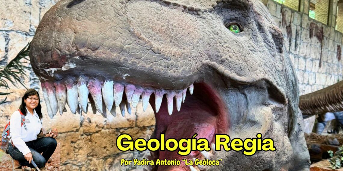 Tierra de Dinosaurios: descubre y experimenta la paleontología
