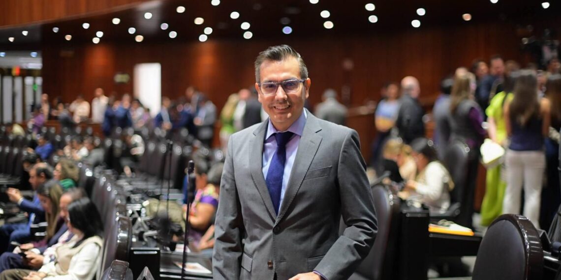 Gaona propone trato digno a inimputables en proceso penal