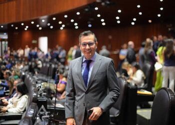 Gaona propone trato digno a inimputables en proceso penal