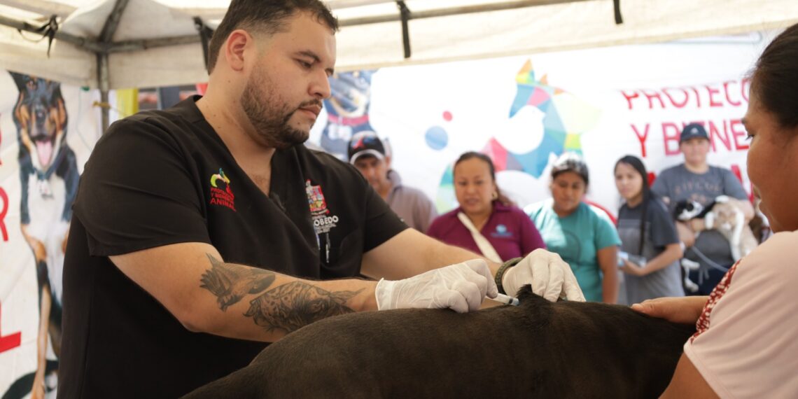 Escobedo lleva brigada veterinaria gratuita a Palmiras