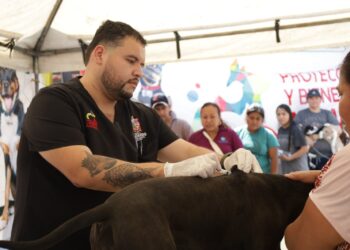 Escobedo lleva brigada veterinaria gratuita a Palmiras